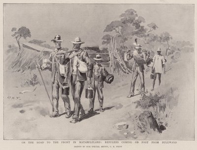 Sulla strada per il fronte in Matabeleland, rifugiati a piedi da Buluwayo da Charles Edwin Fripp